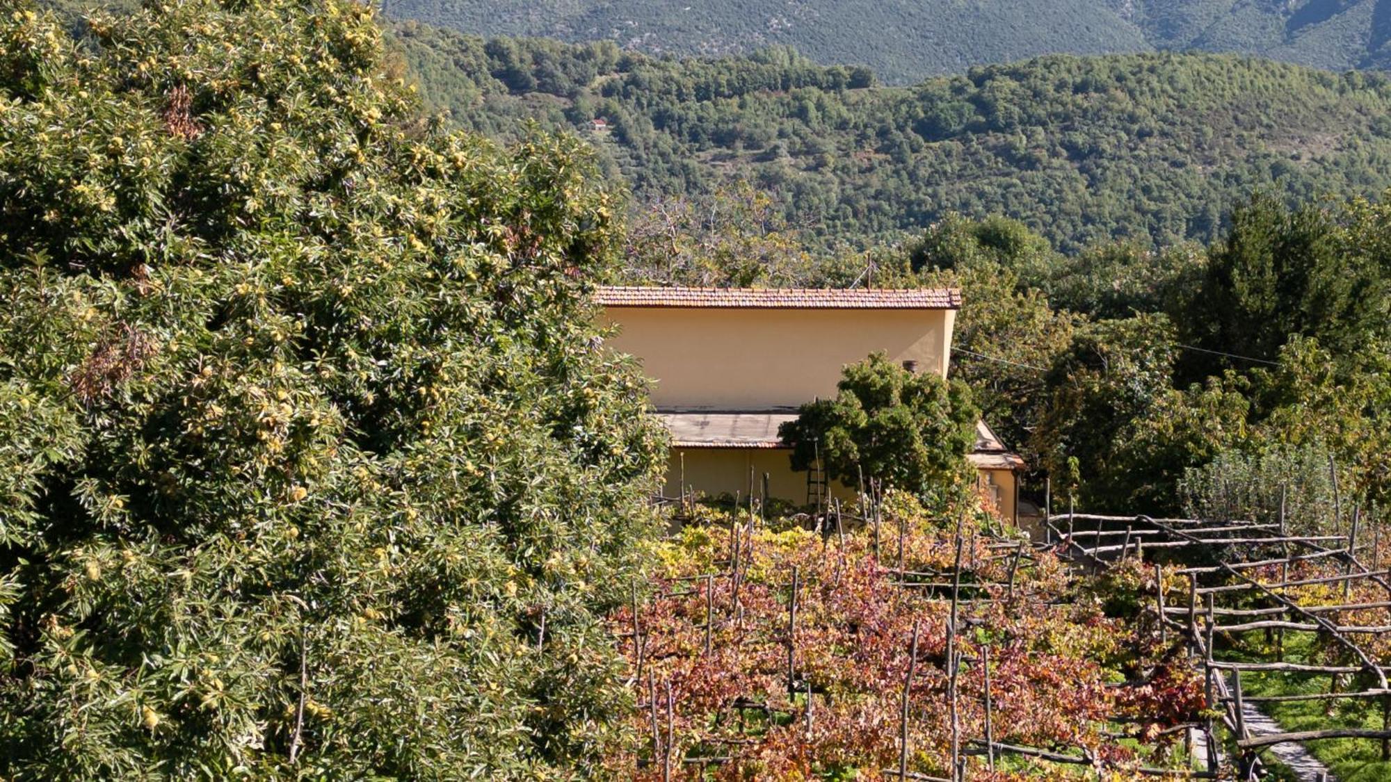 Casa Giordano Villa Tramonti Exterior foto
